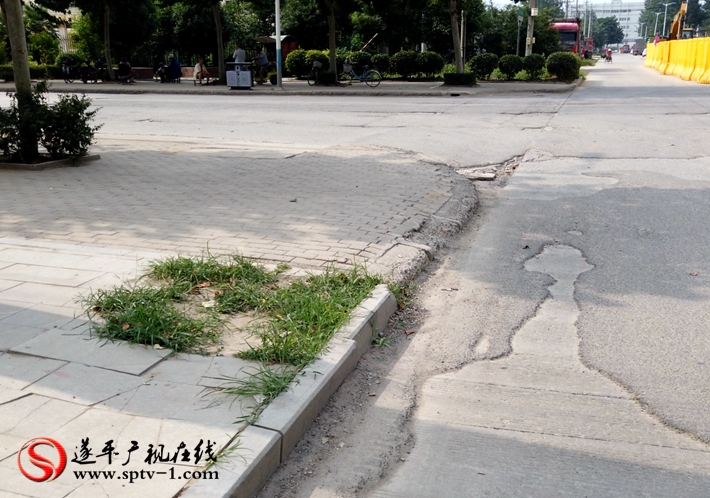 上图:文化路与遂周路交叉口面砖损坏杂草丛生。