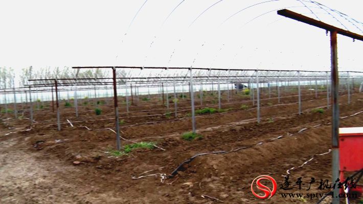 2020-4-1威力 石寨铺自采.mpg_20200401_100353.829_副本