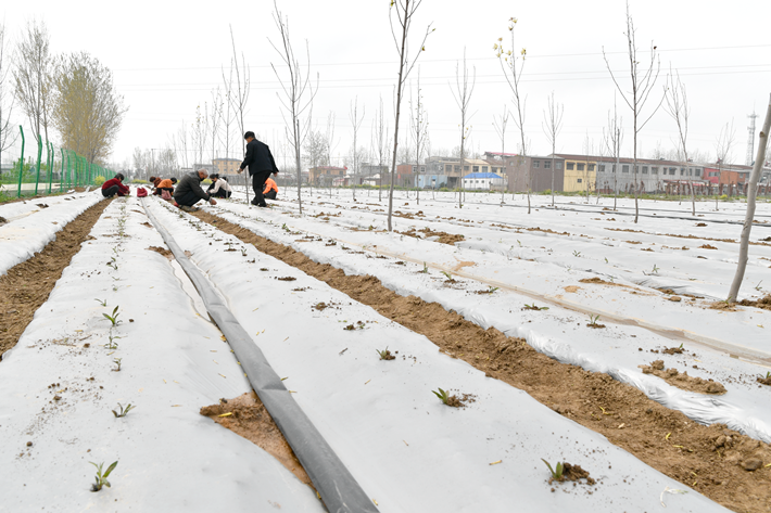 微信图片_202004031636353