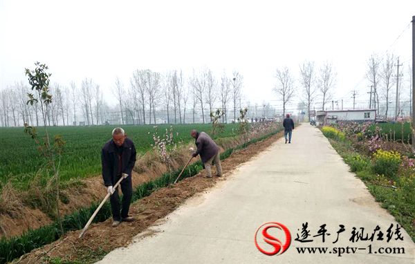 1587038233224_副本