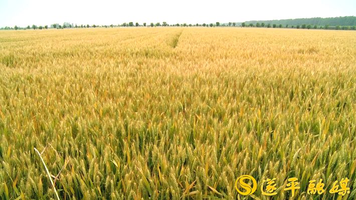 00059.MTS_20200518_110923.883_副本