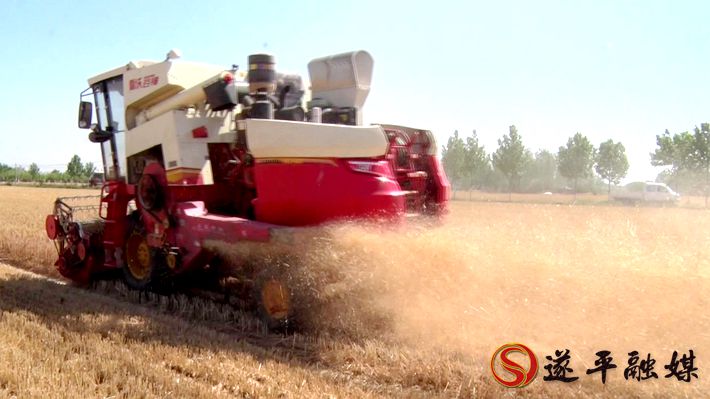 00130.MTS_20200519_170642.679_副本