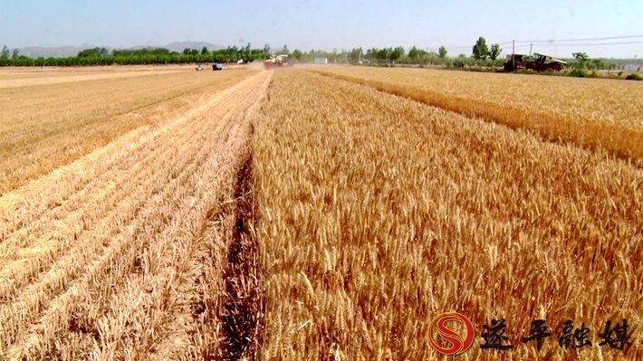 00131.MTS_20200519_170248.408_副本