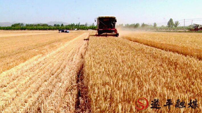 00133.MTS_20200519_170655.614_副本