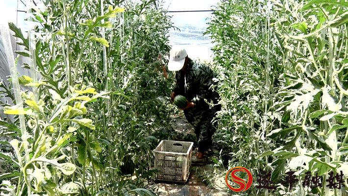 00668.MTS_20200522_100735.132_副本