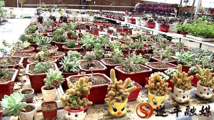 00720.MTS_20200522_101356.010_副本