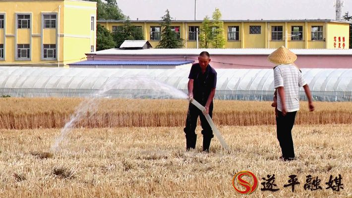 00052.MTS_20200529_160549.015_副本