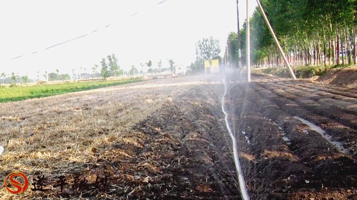 00084.MTS_20200529_160749.183_副本