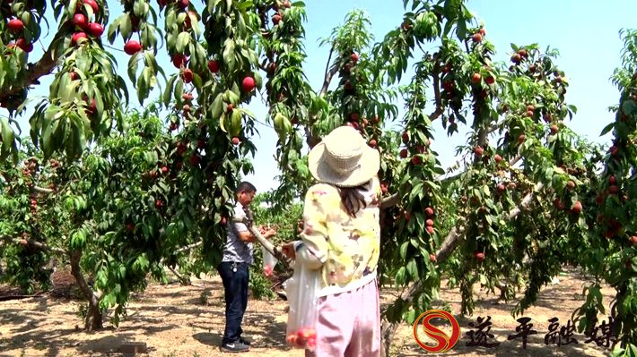 00753.MTS_20200602_160156.864_副本