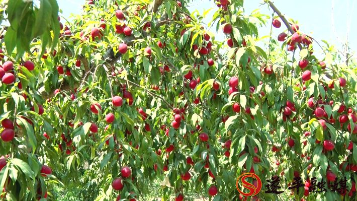 00761.MTS_20200602_160245.799_副本