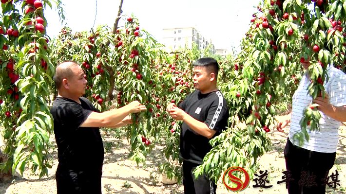 00775.MTS_20200602_160344.903_副本