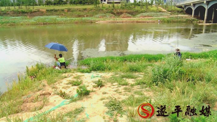 00687.MTS_20200602_161738.162_副本