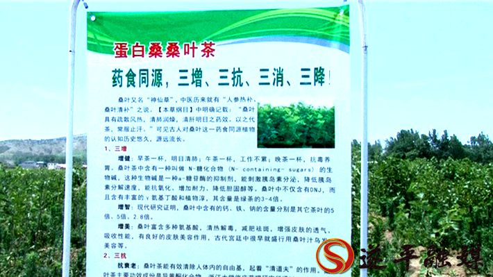 2020-6-3智豪  梁留平陪人大调研.avi_20200604_162235.041_副本