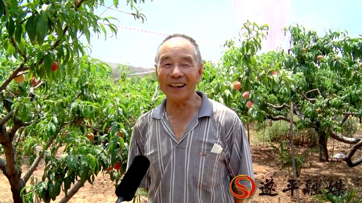 00967.MTS_20200610_104710.419_副本