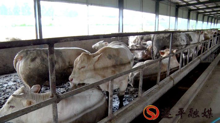 00249.MTS_20200710_101244.229_副本