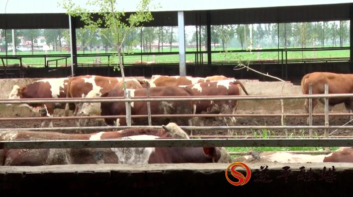 00245.MTS_20200710_105317.063_副本