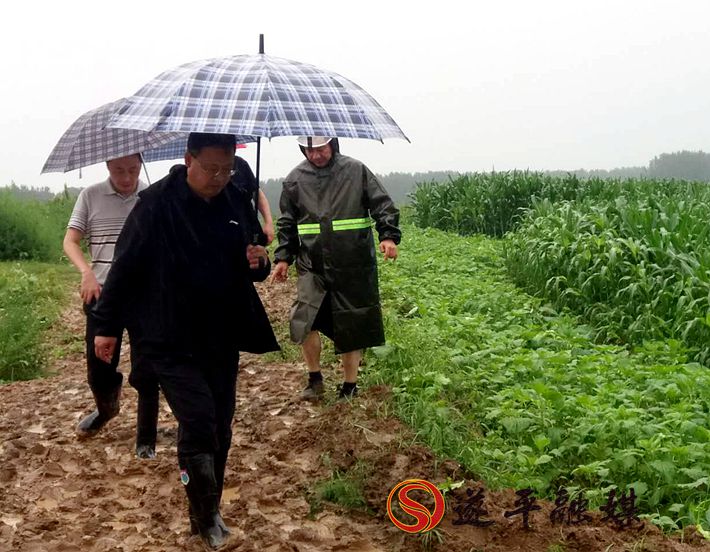 微信图片_202007221806222_副本