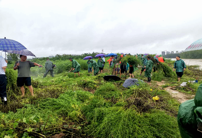 莲花湖街道“早、细、快、实”全力做好防汛抗洪382_副本