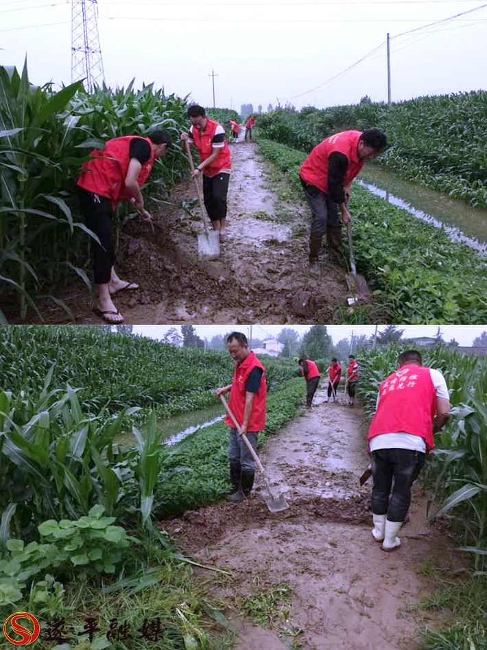 0fbb52f2d40a9ca2370a430028e71b12