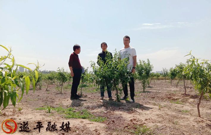 0820241655c233cc1918a72c9503fdc9