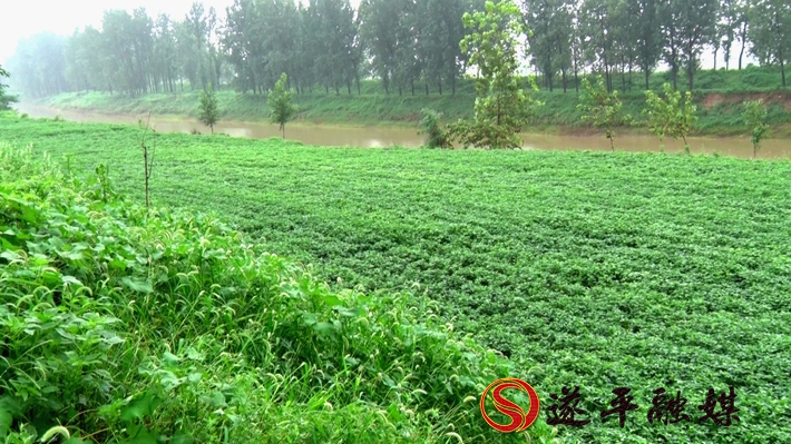 00200.MTS_20200810_170825.265_副本