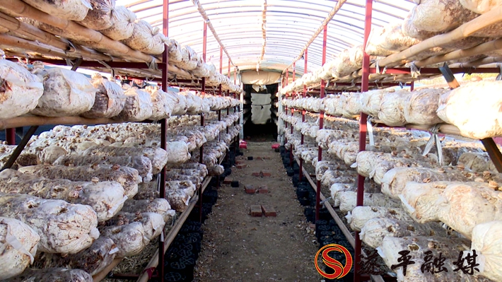 2020-8-10文平 香菇（外宣）制好.mpg_20200811_095731.265_副本