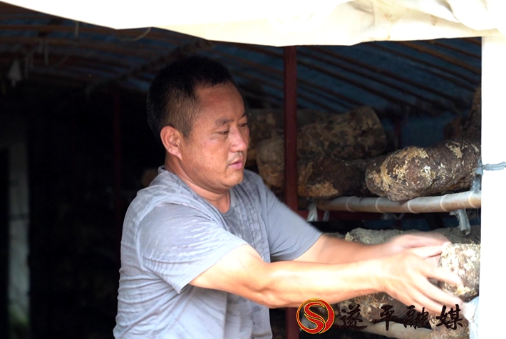 2020-8-10文平 香菇（外宣）制好.mpg_20200811_104839.542_副本