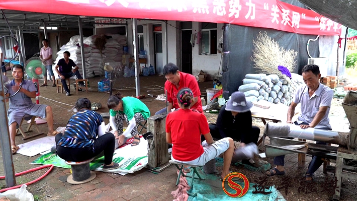 2020-8-10文平 香菇（外宣）制好.mpg_20200811_104859.925_副本