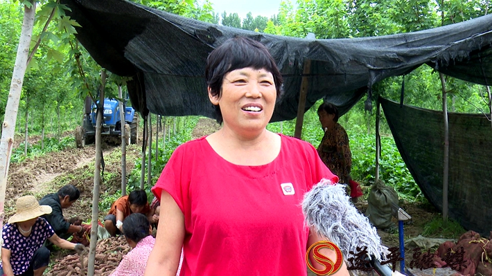 2020-8-17文城红薯.mpg_20200818_172727.008_副本