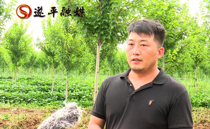 2020-8-17文城红薯.mpg_20200818_172943.967_副本