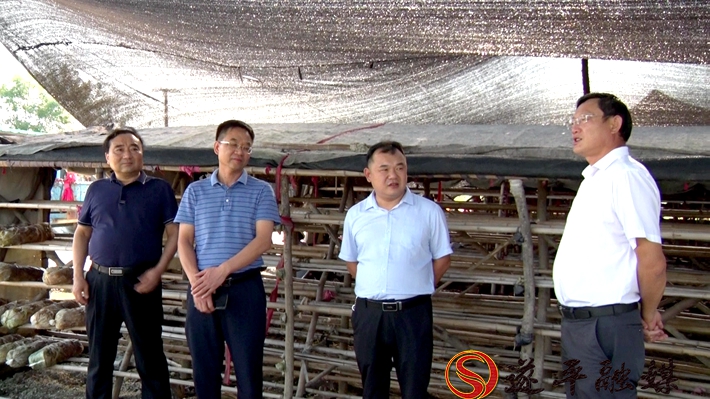 00111.MTS_20200828_105319.717_副本