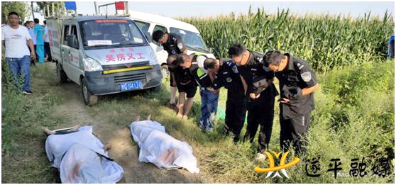 2f875d174f869dd26ba4e44c00cc4ec