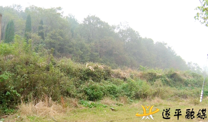 00628.MTS_20201013_145213.906_副本