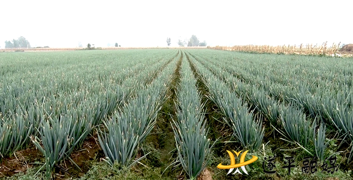 00225.MTS_20201014_163137.633_副本