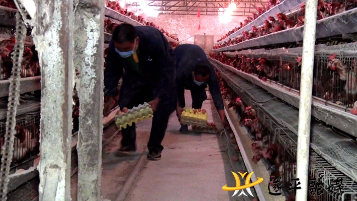 00241.MTS_20201014_163355.151_副本