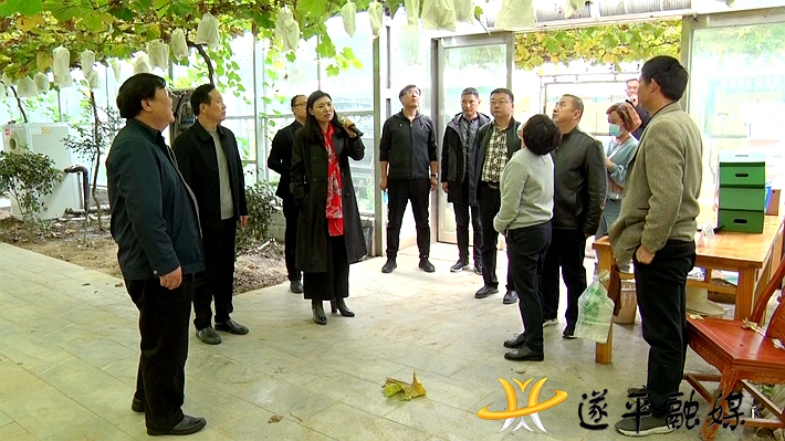 00811.MTS_20201019_155216.201_副本