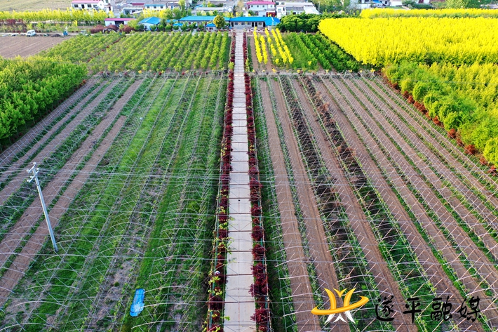 扶贫产业园_副本