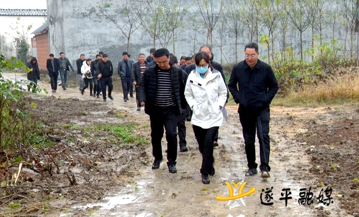 01579.MTS_20201125_173953.221_副本