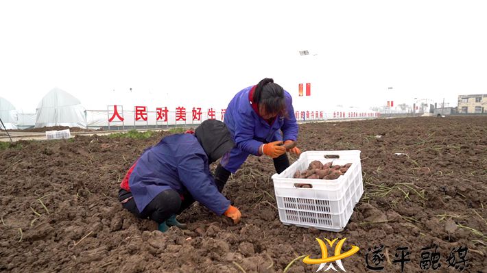 C0228.MP4_20201210_090541.433_副本