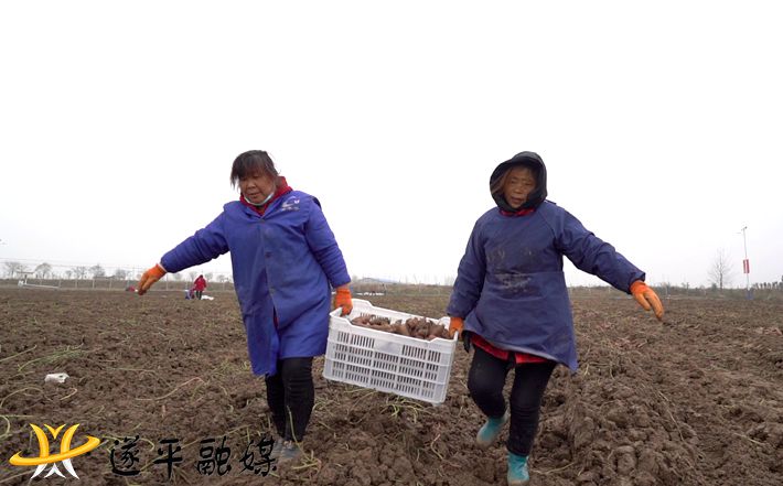 C0229.MP4_20201210_090550.418_副本