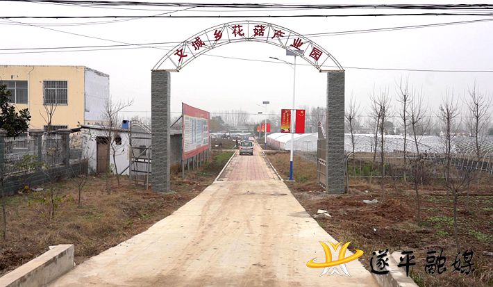 C0289.MP4_20201210_090718.091_副本