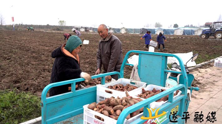 C0320.MP4_20201210_091936.971_副本_副本