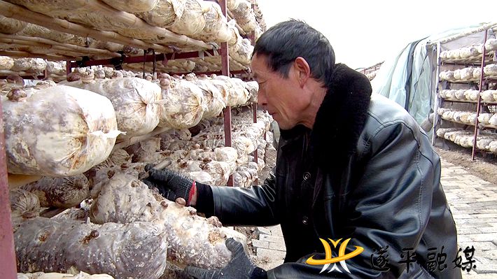 00056.MTS_20210108_165707.655_副本