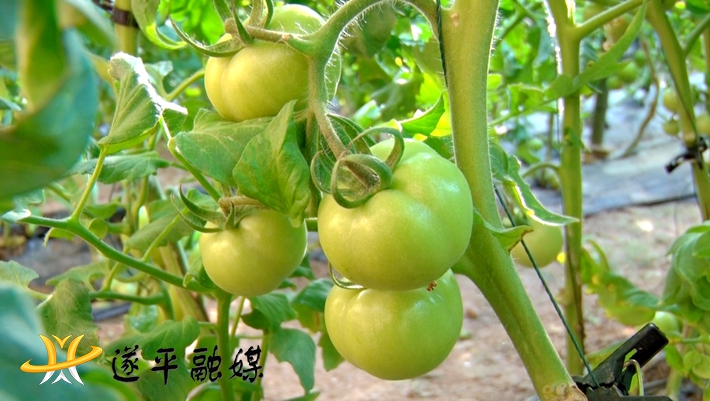 00274.MTS_20210118_103854.989_副本