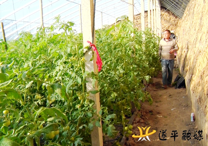 00288.MTS_20210118_104923.405_副本