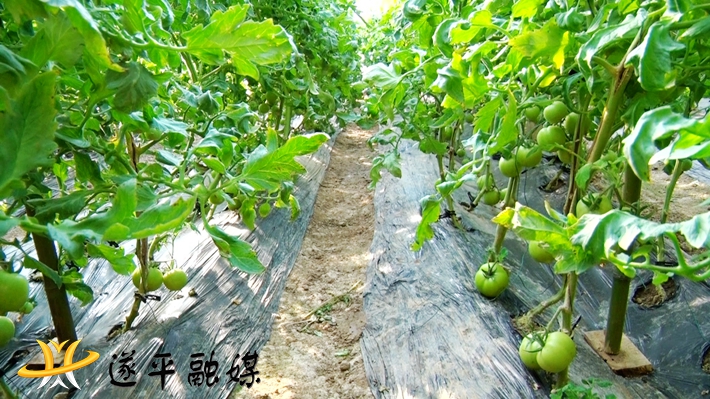 00291.MTS_20210118_104943.868_副本