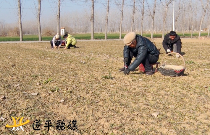 00121.MTS_20210120_145427.773_副本