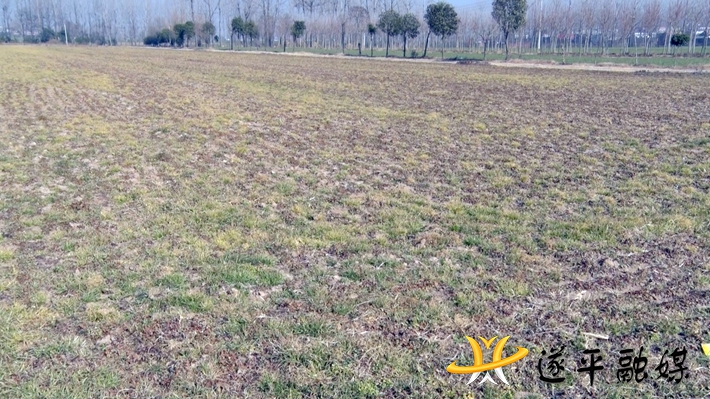 00192.MTS_20210120_151018.404_副本