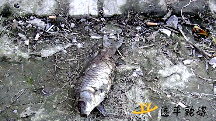 02016.MTS_20210222_105829.344_副本