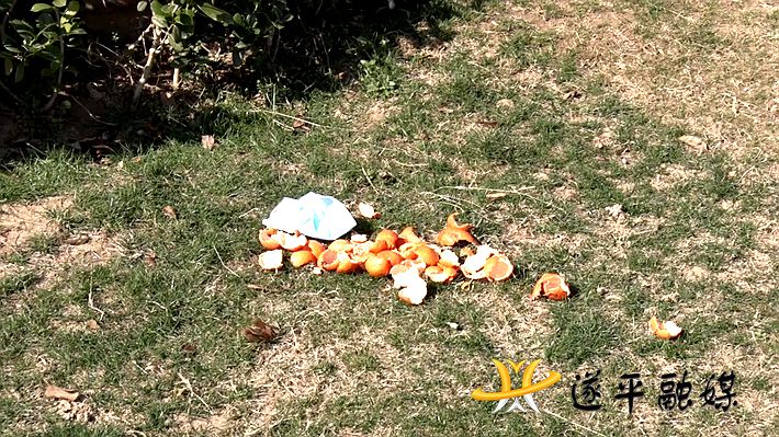 02023.MTS_20210222_105939.975_副本